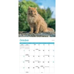 Cats 2024 Wall Calendar -Calendars Sales Store f06d9693 6d6e 431f 8ad9 5ec69824b598