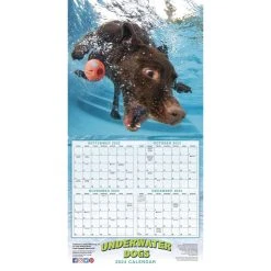 Underwater Dogs 2024 Wall Calendar -Calendars Sales Store f20e74ea b72a 460c 947d 3b2ef924a6d1