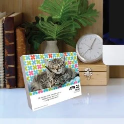 Cats What Cats Teach Us 2024 Desk Calendar -Calendars Sales Store f2bab75f 4655 4d82 87e2 7cb157158e32