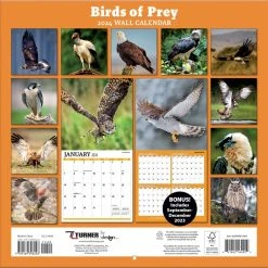 Birds Of Prey Photo 2024 Wall Calendar -Calendars Sales Store f3564551 11e4 4c75 8c1c a25838a106d4