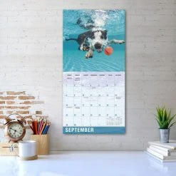 Underwater Dogs 2024 Wall Calendar -Calendars Sales Store f54e3389 4eb0 4cd9 9368 3feddb6e0cb6