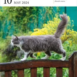 Cat Gallery 2024 Desk Calendar Refill Pack -Calendars Sales Store f5610686 ea93 4880 9df4 cb0090fbdac5