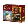 Just Labs 2024 Desk Calendar -Calendars Sales Store f66a736c ddcb 483a 92fd cb4ad1532090