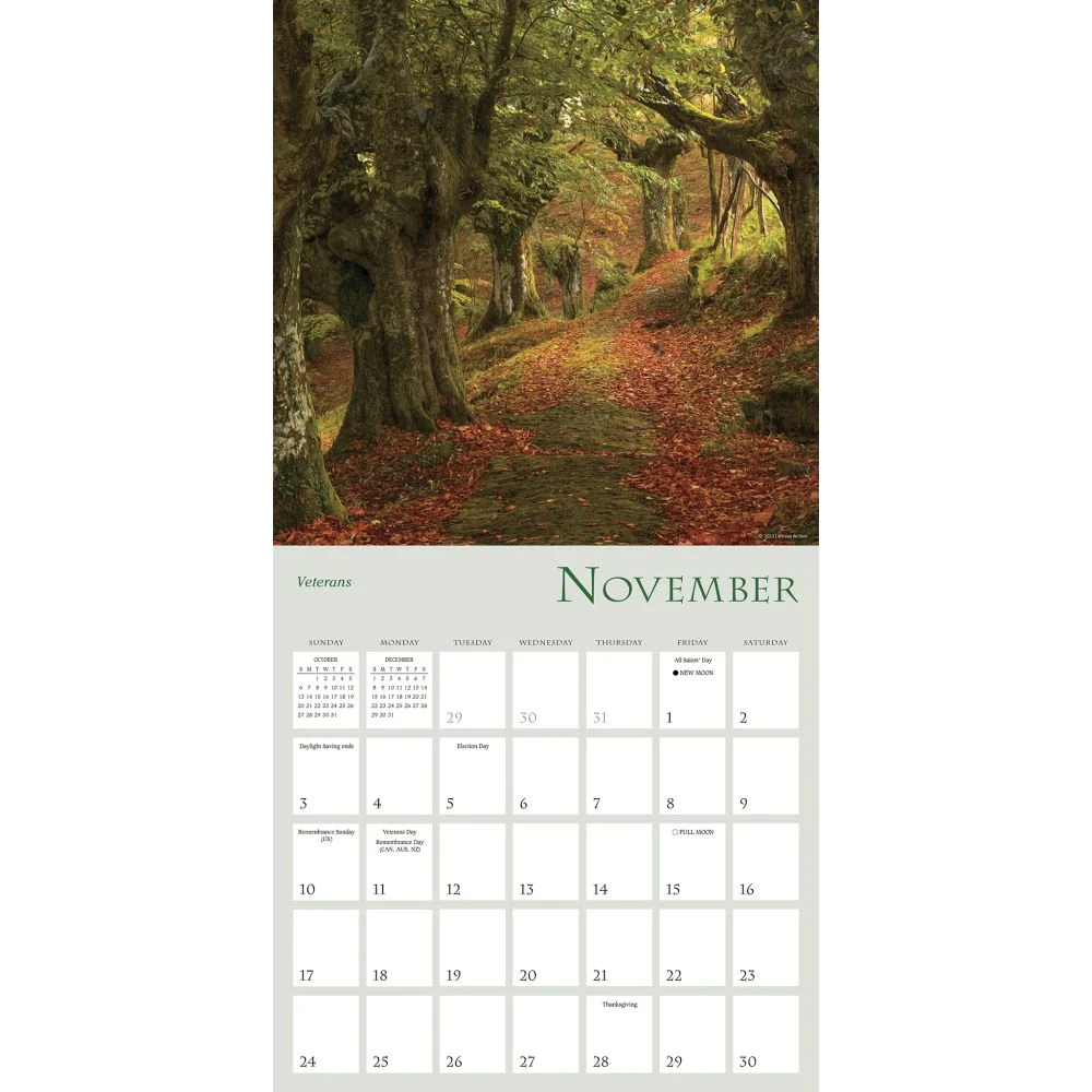 Enchanted Pathways 2024 Wall Calendar 6 Enchanted Pathways 2024 Wall Calendar - Image 4
