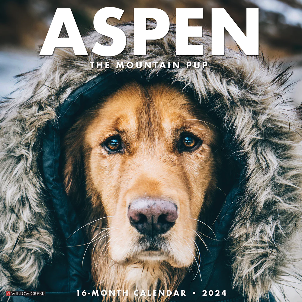 Aspen The Mountain Pup 2024 Wall Calendar 3 Aspen The Mountain Pup 2024 Wall Calendar