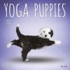 Yoga Puppies 2024 Wall Calendar 1 Yoga Puppies 2024 Wall Calendar -Calendars Sales Store f82dd491 63e2 49ff 8b8f a18c77bdaf4f