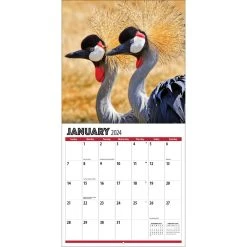 African Safari 2024 Wall Calendar -Calendars Sales Store f9eedc80 71b0 42fe b016 c80bfe407dbb
