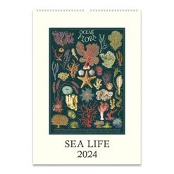 Sea Life 2024 Poster Wall Calendar