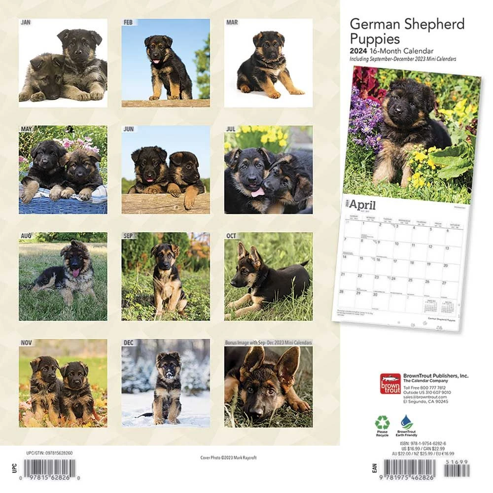 German Shepherd Puppies 2024 Wall Calendar 4 German Shepherd Puppies 2024 Wall Calendar - Image 2
