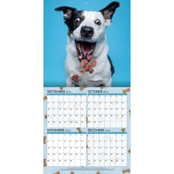 Doggy Want A Treat 2024 Wall Calendar -Calendars Sales Store fba49429 63c0 4e01 863a a5e0035c4a8c