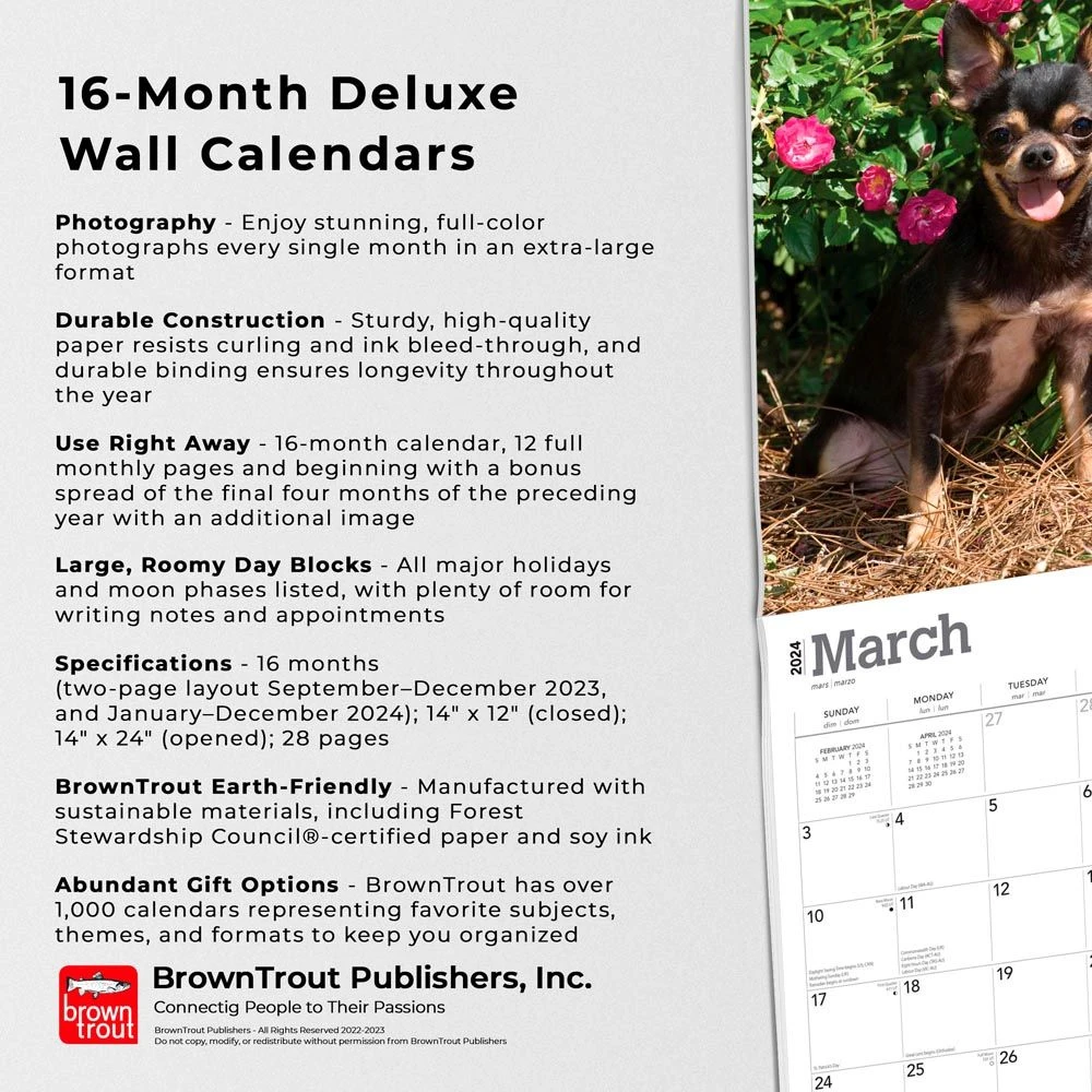 For The Love Of Chihuahuas Deluxe 2024 Wall Calendar 7 For The Love Of Chihuahuas Deluxe 2024 Wall Calendar - Image 5