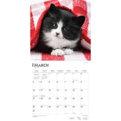Kittens I Love 2024 Wall Calendar -Calendars Sales Store fbe8fa3c d452 4a7d 9301 a65d32cdc087