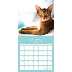 Cats Fanciful Felines 2024 Wall Calendar -Calendars Sales Store fc513748 ccfc 425c af0e 03f417327471