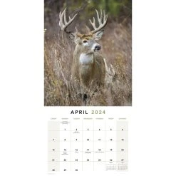 Trophy Bucks 2024 Wall Calendar -Calendars Sales Store fd3bc788 6ec7 42fe bf8e 2aa1b1ee1cae