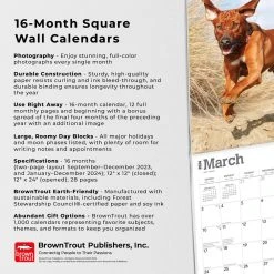 Rhodesian Ridgebacks 2024 Wall Calendar -Calendars Sales Store fd631e3d da88 440c acae 3b5d6e4d8875