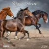 Magic Horses 2024 Wall Calendar 2 Magic Horses 2024 Wall Calendar -Calendars Sales Store fde7f0fb 415f 4b0b 89c5 113f329e5a2c