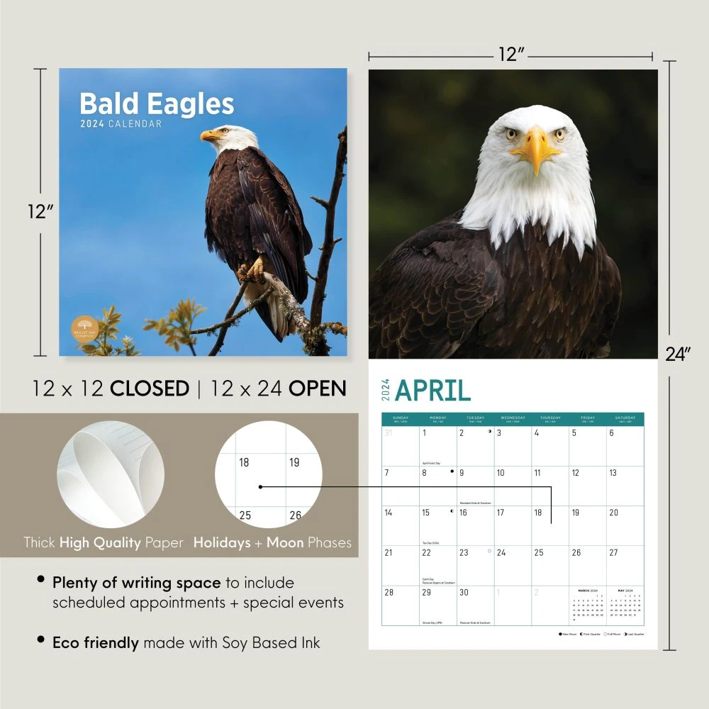 Bald Eagles 2024 Wall Calendar 11 Bald Eagles 2024 Wall Calendar - Image 9