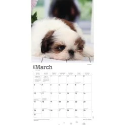 Shih Tzu Puppies 2024 Wall Calendar -Calendars Sales Store feb7828c 23eb 433d bfa0 cb10f895a78c
