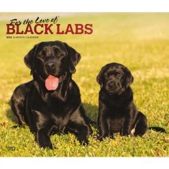 For The Love Of Labrador Retrievers 2024 Wall Calendar