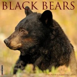 Black Bears 2024 Wall Calendar