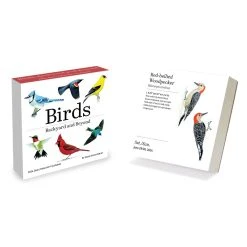 Birds Backyard And Beyond 2024 Desk Calendar -Calendars Sales Store ffd80ac8 39c6 4ae0 83e0 c79e9582dac1